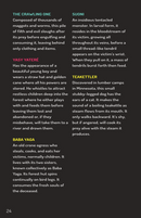 Storyteller: A Campfire Narrative Game