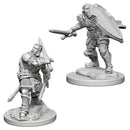 D&D Nolzur’s Marvelous Miniatures - Human Male Paladin - Unpainted