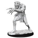 D&D Nolzur's Marvelous Miniatures: Troll - Wave 12.5 Unpainted (WZK 90190)