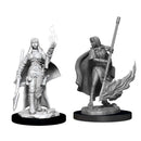 Pathfinder Battles Deep Cuts Miniatures: Human Female Oracle - Wave 11 (WZK90044)