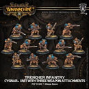 Warmachine: Cygnar - Trencher Infantry With Three Weapon Attachments Unit (13) (Plastic)