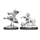 D&D Nolzur's Marvelous Miniatures: Human Female Monk - Wave 11 (WZK90008)