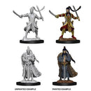 D&D: Nolzur's Marvelous Miniatures - Elf Male Paladin (WZK73707)