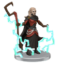 D&D - Icons of The Realms - Tomb of Annihilation Set 1 