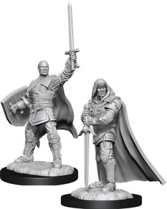 D&D Nolzur’s Marvelous Miniatures - Wave 13 Human Paladin Male (WZK90136)