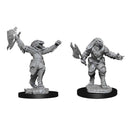 D&D Nolzur's Marvelous Miniatures: Dragonborn Female Fighter - Wave 11 (WZK90001)