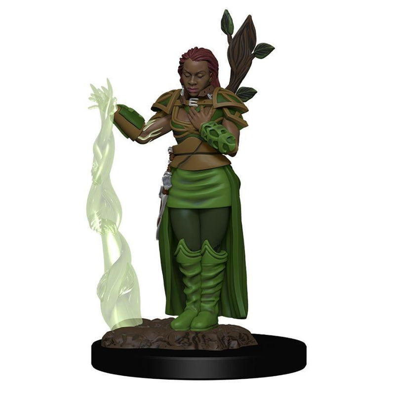 Dungeons & Dragons: Human Female Druid - Icons of the Realm Premium Figures (WZK93009)