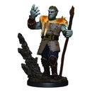 Dungeons & Dragons: Firbolg Male Druid- Icons of the Realm Premium Figures (WZK93013)