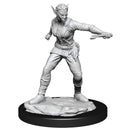D&D Nolzur's Marvelous Miniatures - Shifter Female Rogue - Wave 13 Unpainted (WZK90148)