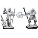 D&D Nolzur's Marvelous Miniatures: Firbolg Male Druid - Wave 11 (WZK90013)